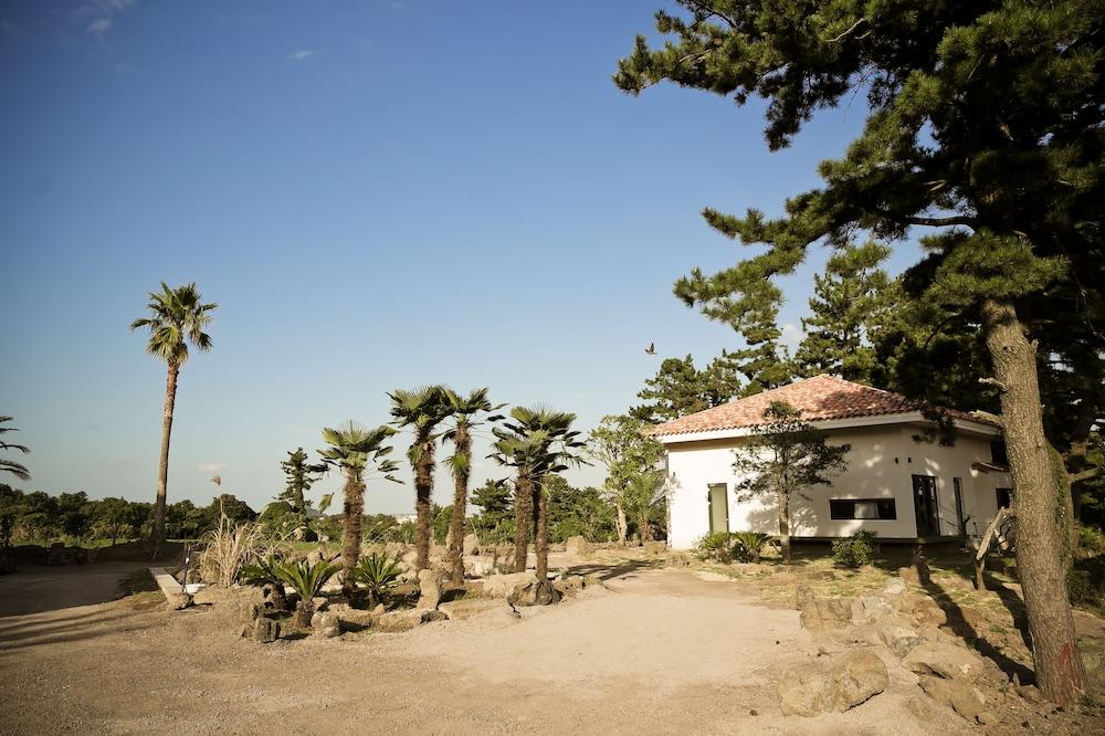 Color In Jeju Pension Екстериор снимка